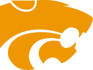 Wildcat Logo Athletic Gold